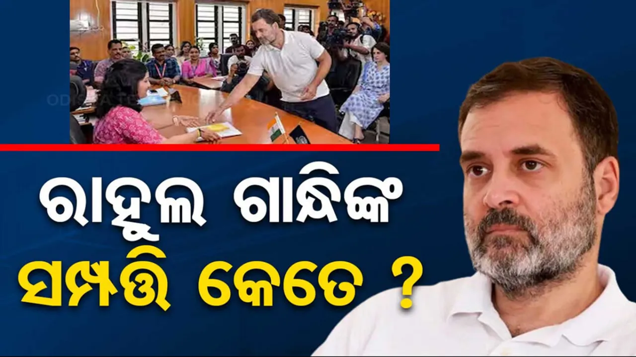 Rahul Gandhi Net Worth