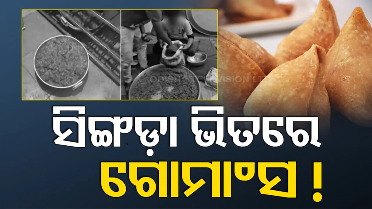 beef samosas gujurat