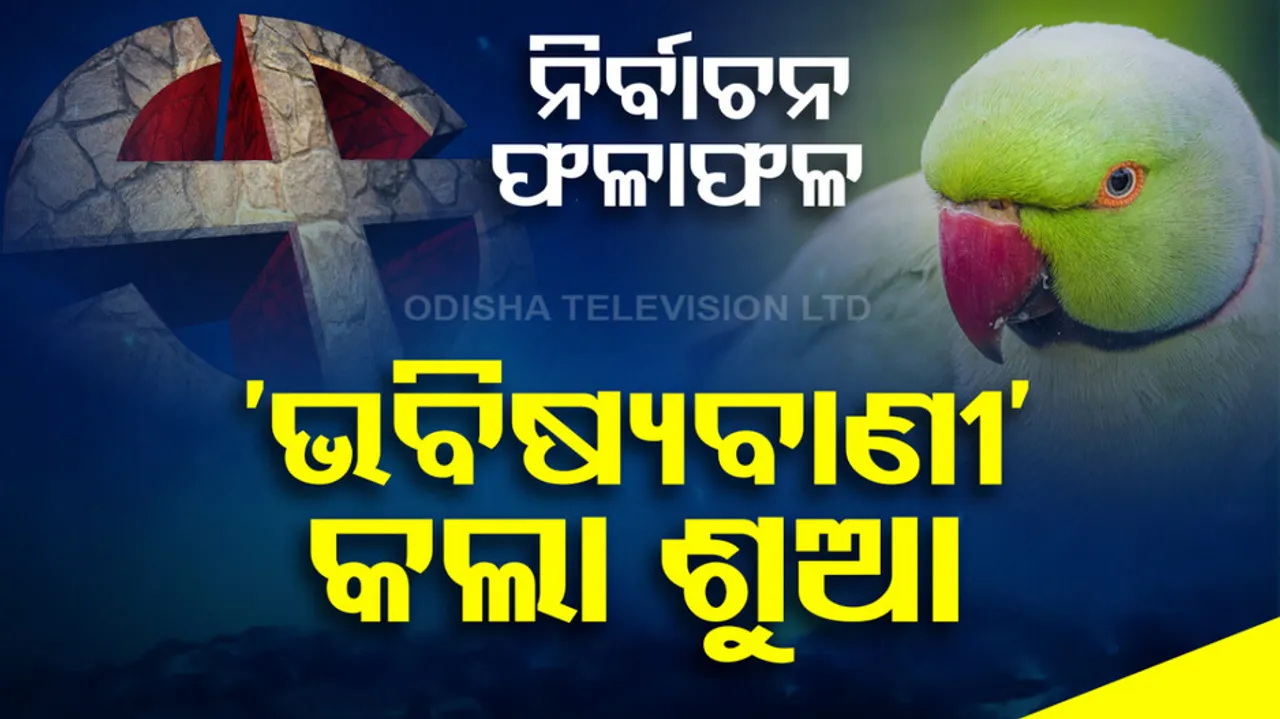 Parrot Predicts Lok Sabha Election Result