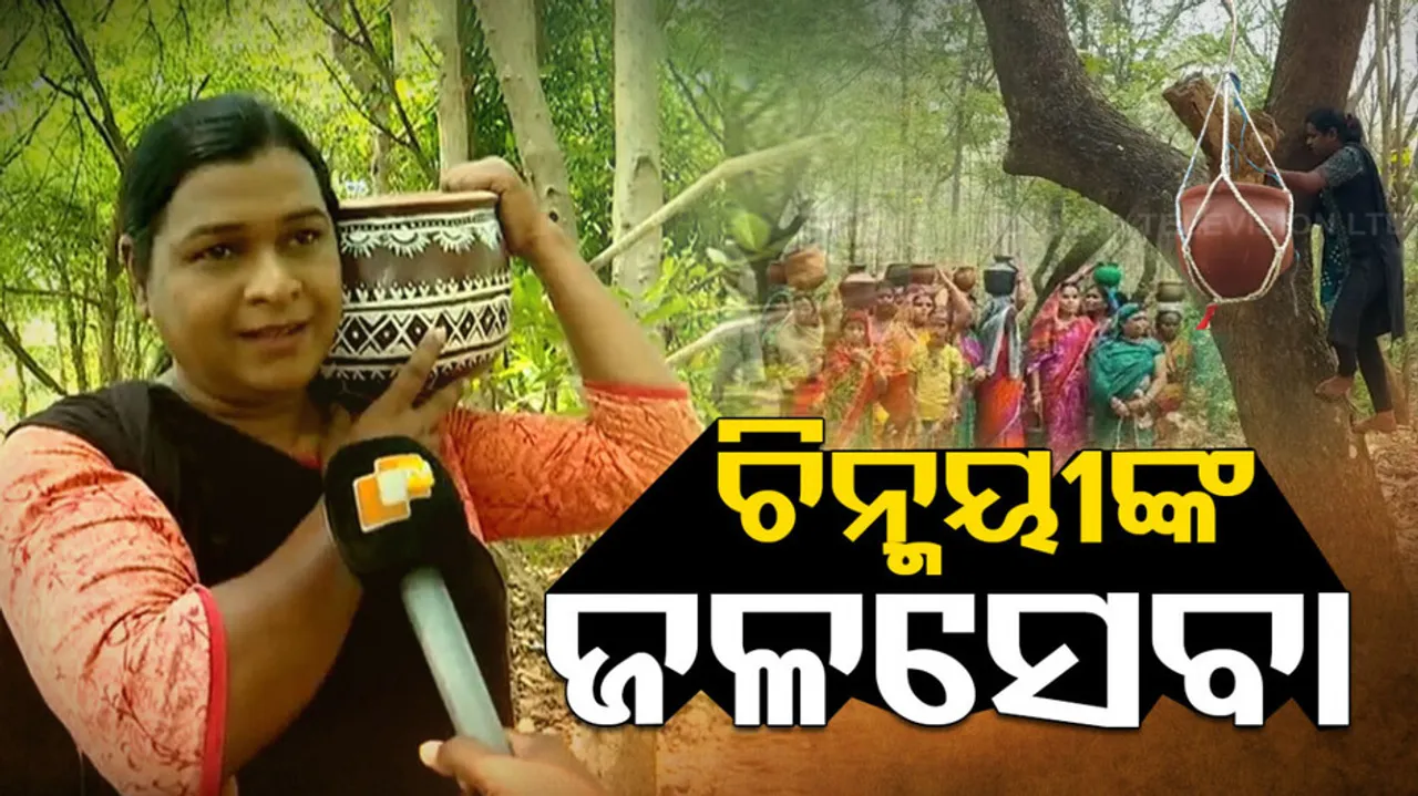 shield birds and animals from sweltering