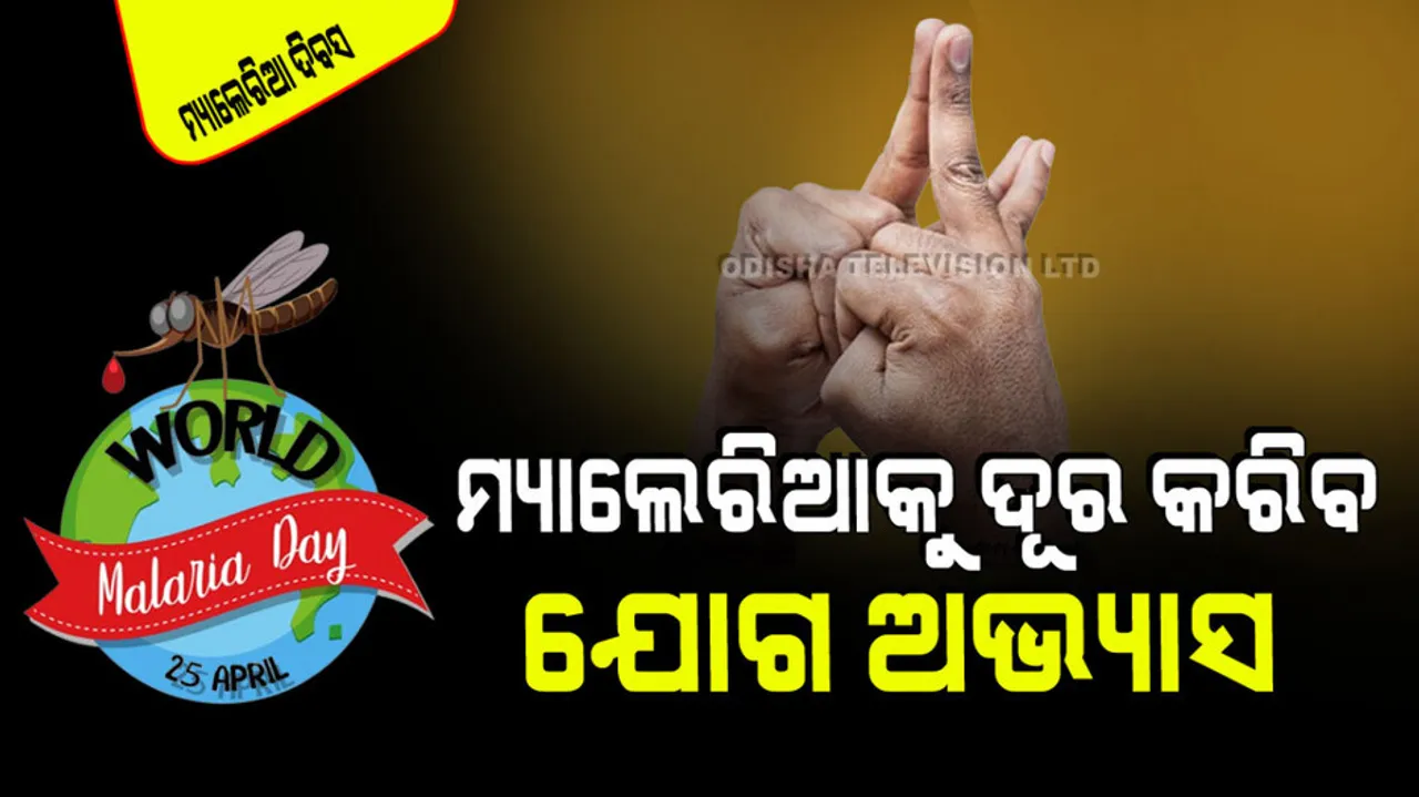 World Malaria Day 2024