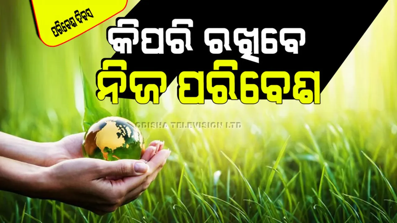 world environment day some steps to save environment