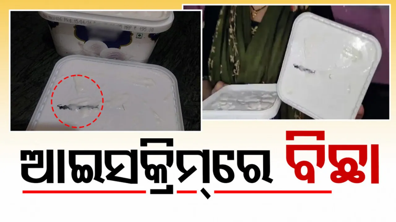 Centipede found inside icecream