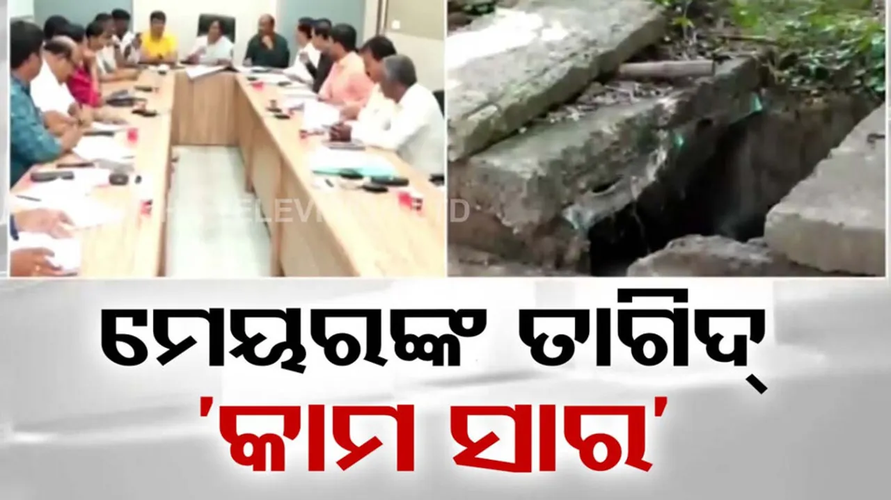 Solve Waterlogging, Drainage Problems In Bhubaneswar: Meyor Sulochana Das