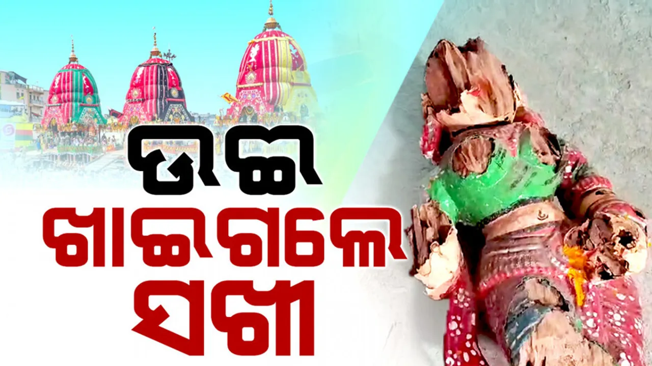 Rath Yatra Chariots Damaged 