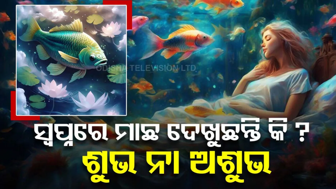 What Does It Mean If You Dream About Fish