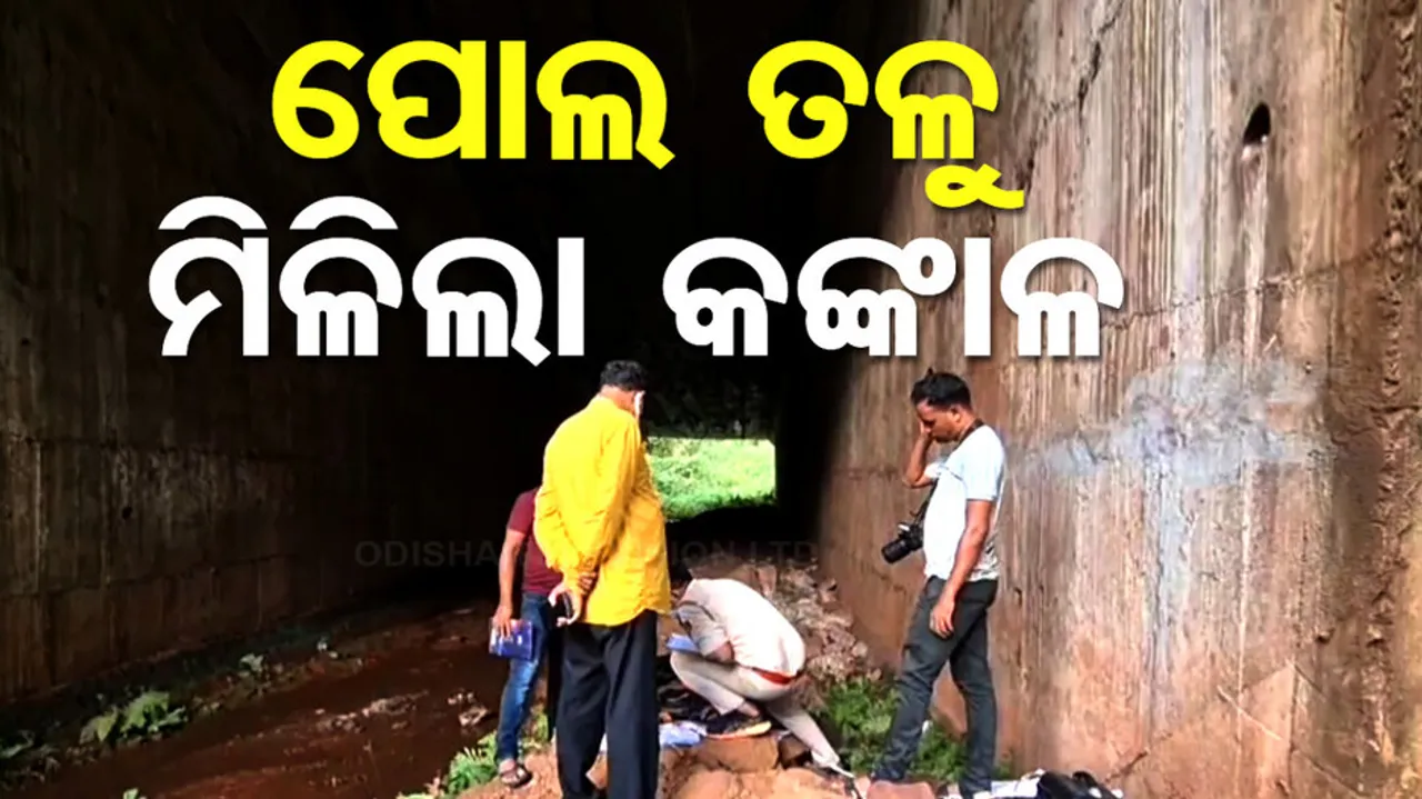 Skeleton Found Under Bridge