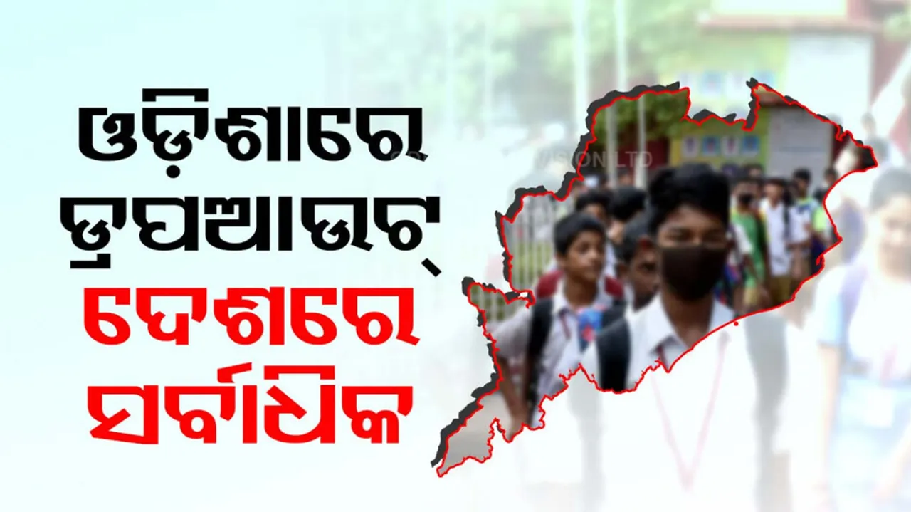 Odisha Economic Survey Report 2024