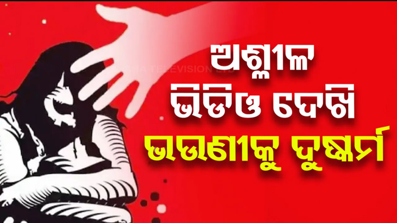  boy rapes sister after watching porn