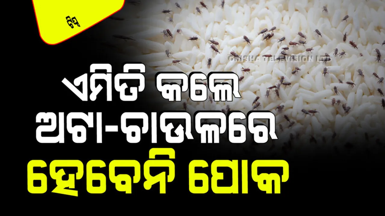 tips for bananas will not spoil no insects in pulses and rice