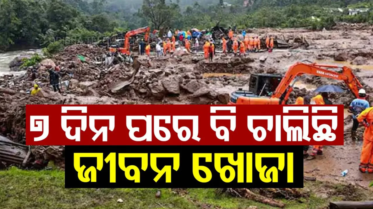 Wayanad landslides Death toll