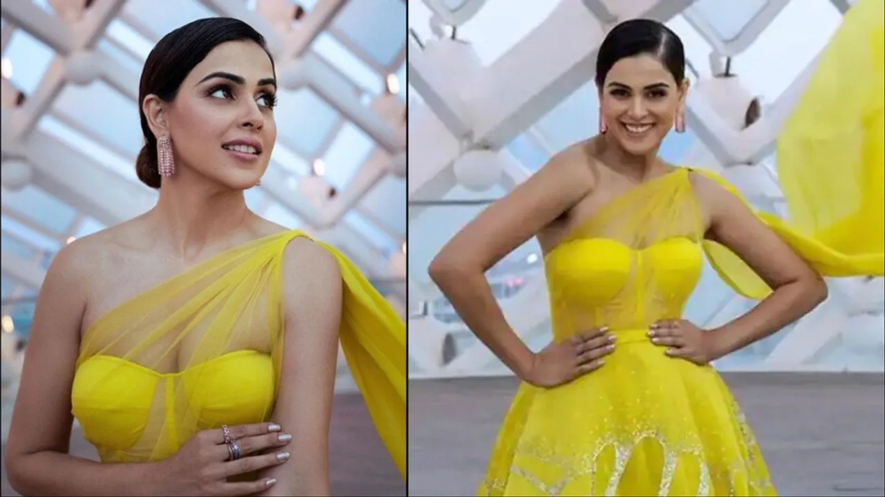 Genelia dsouza met the chief minister son riteish deshmukh at airport