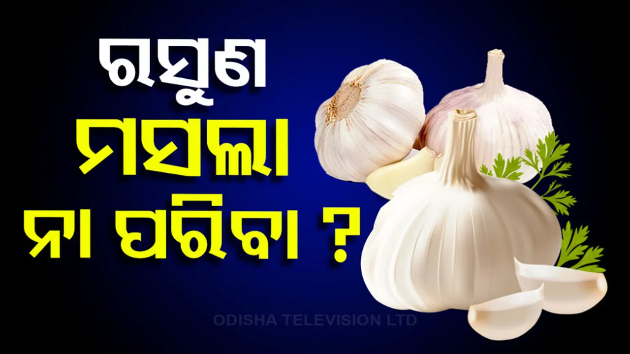 Garlic spice or vegetable?