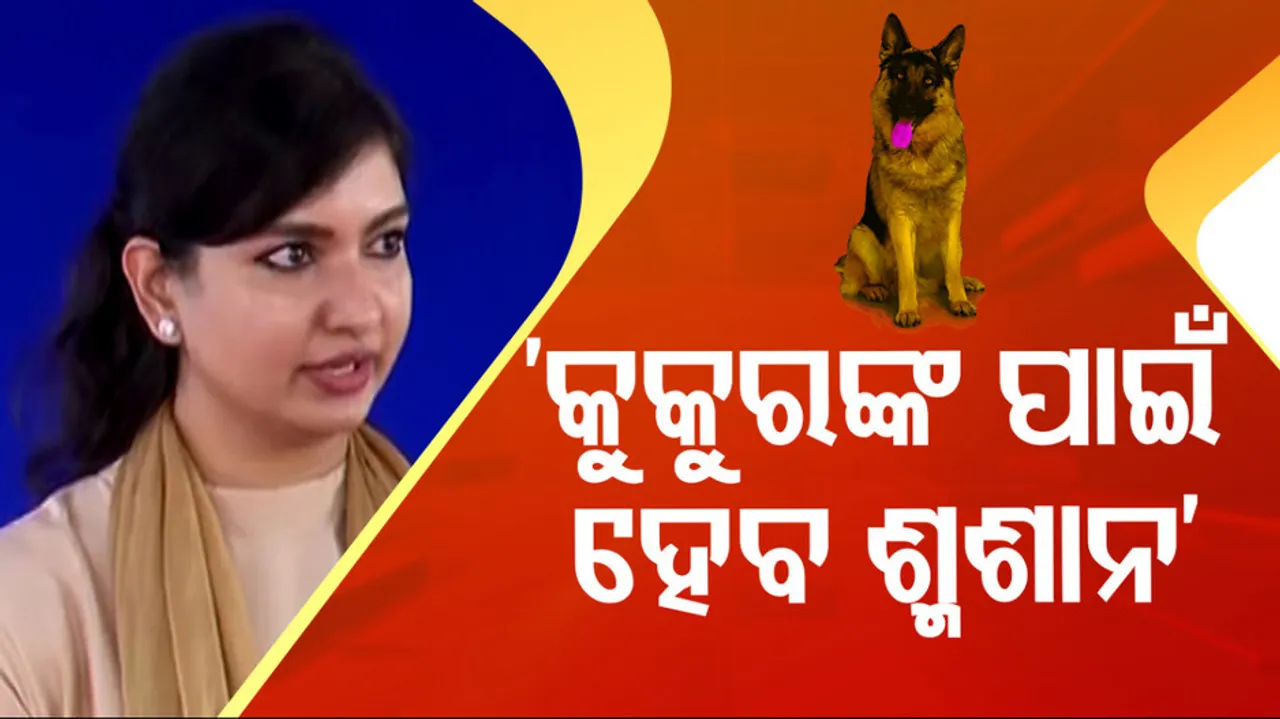 Crematorium for dogs