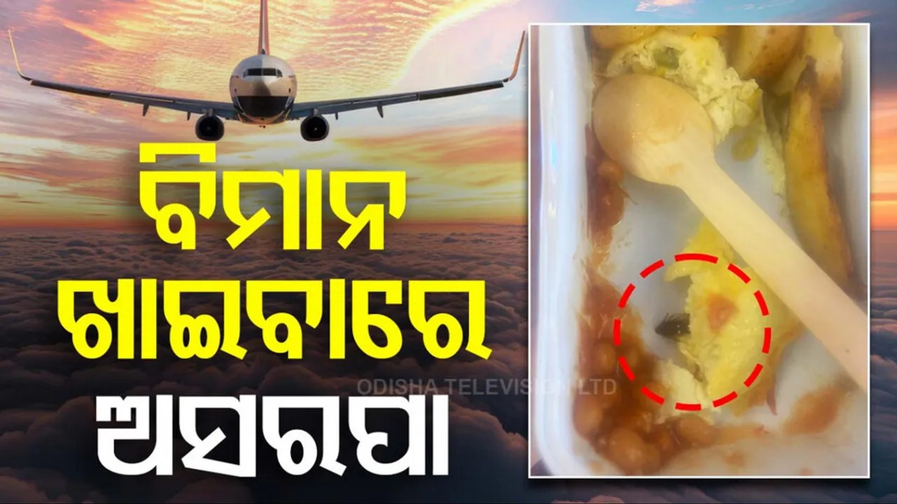 cockroach found in food