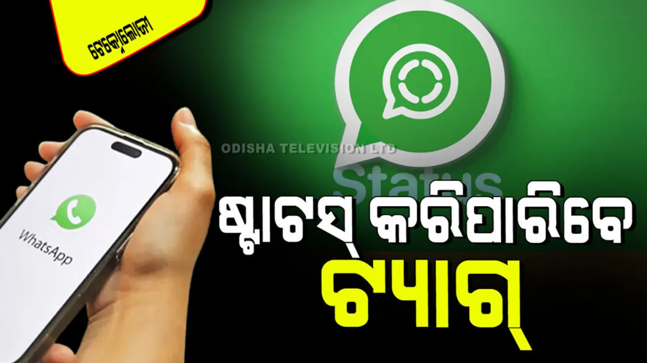 Whatsapp adds private mentions and likes to its status feature