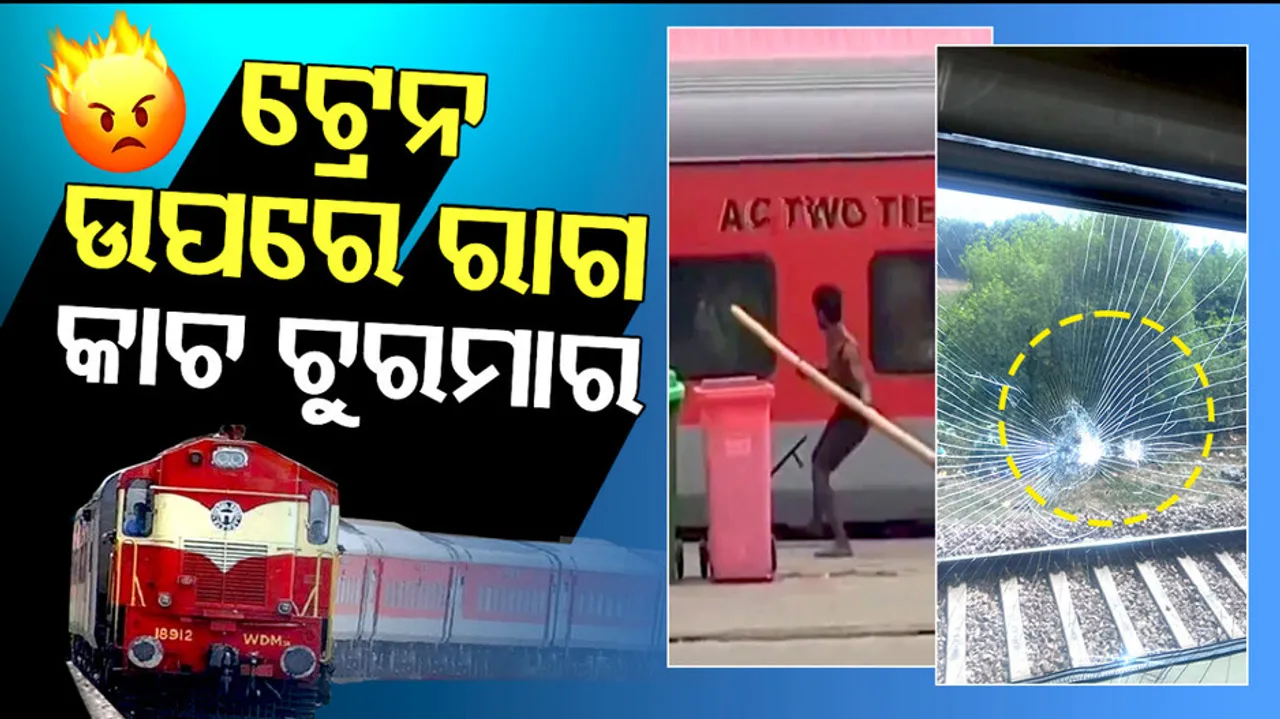  Man Breaks Train Window