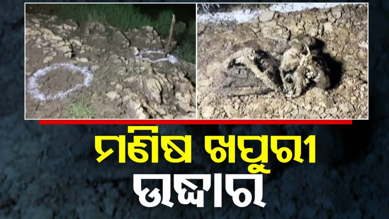 Human Skull Recovered In Odisha