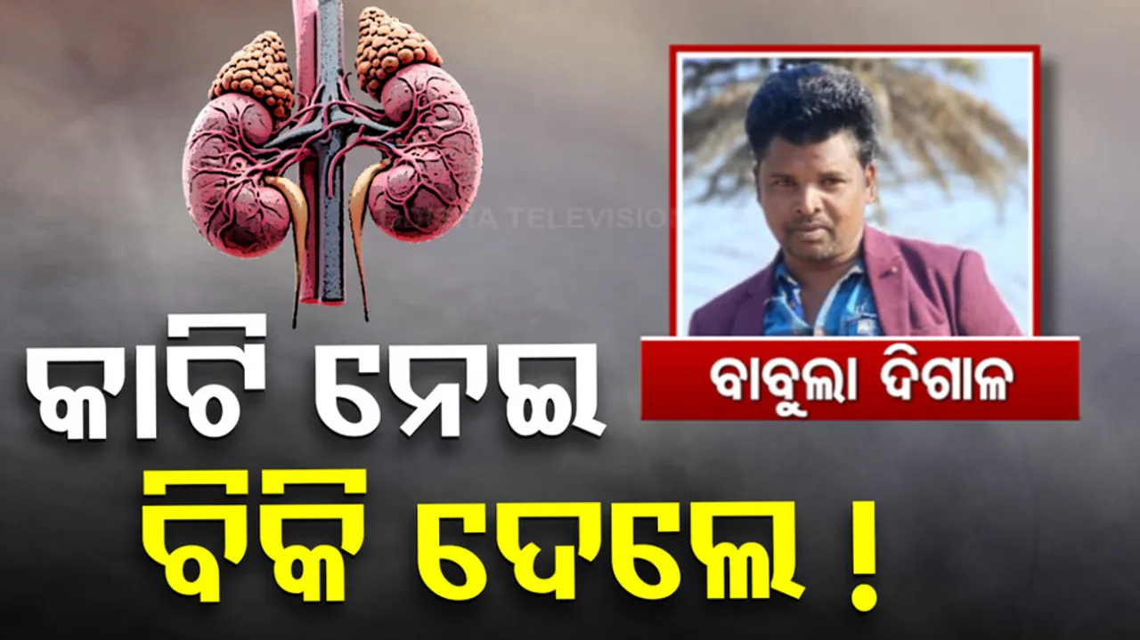 Organ Theft Allegation