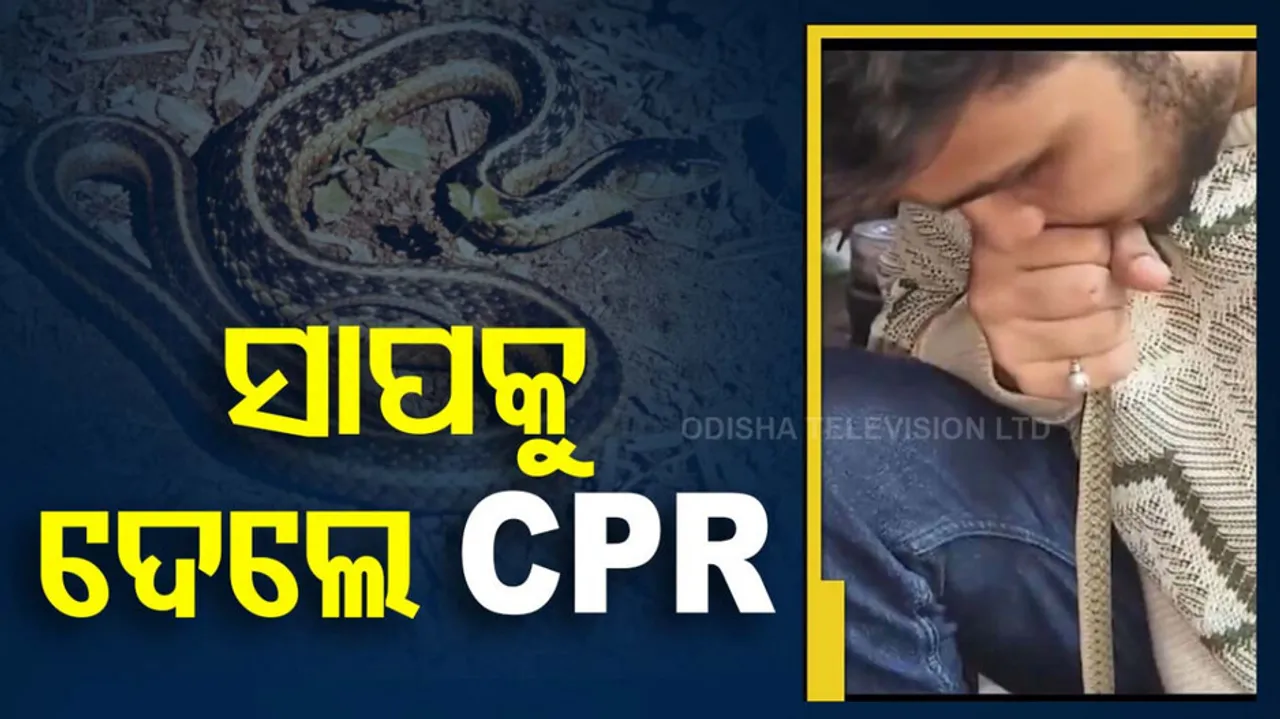 CPR To Snake