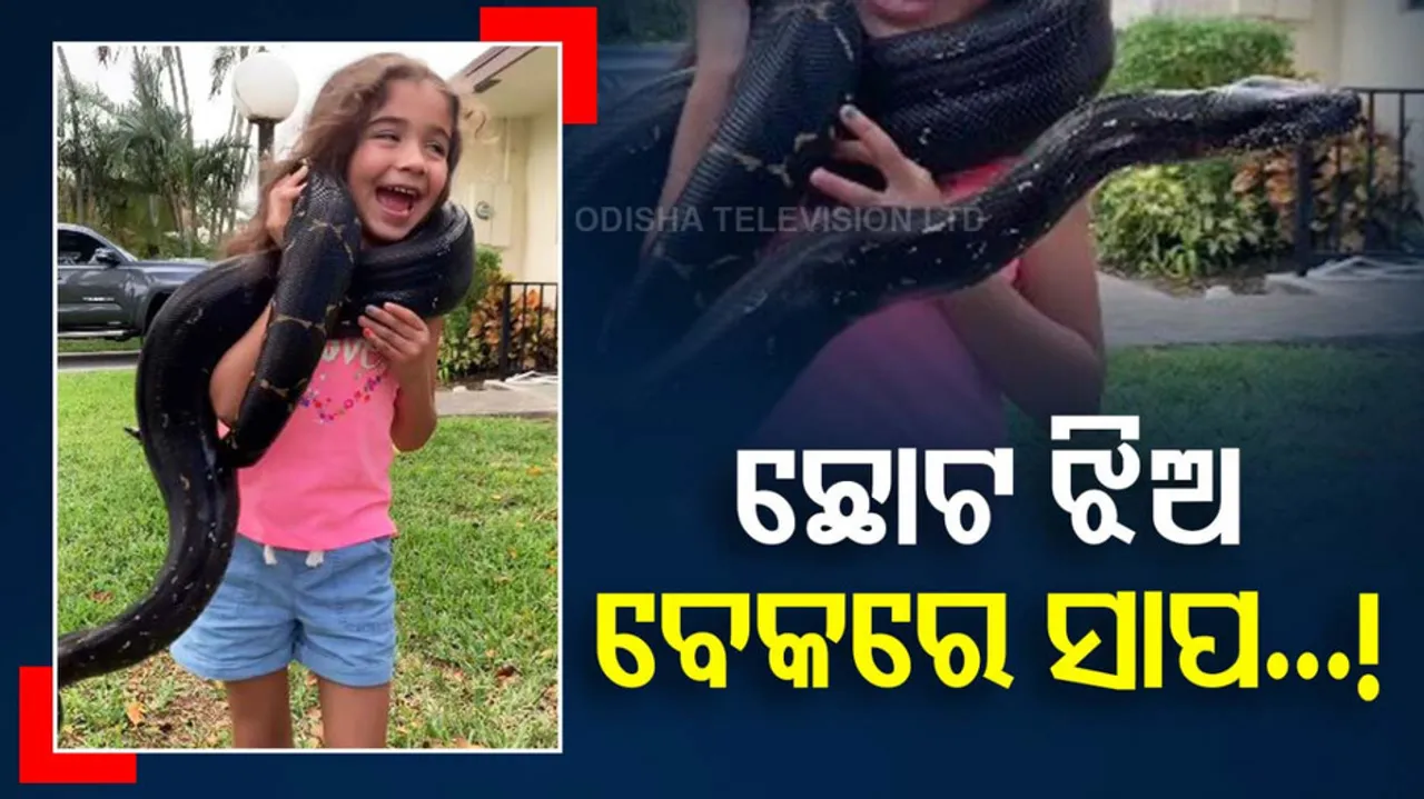 Little Girl Wraps A Giant Snake