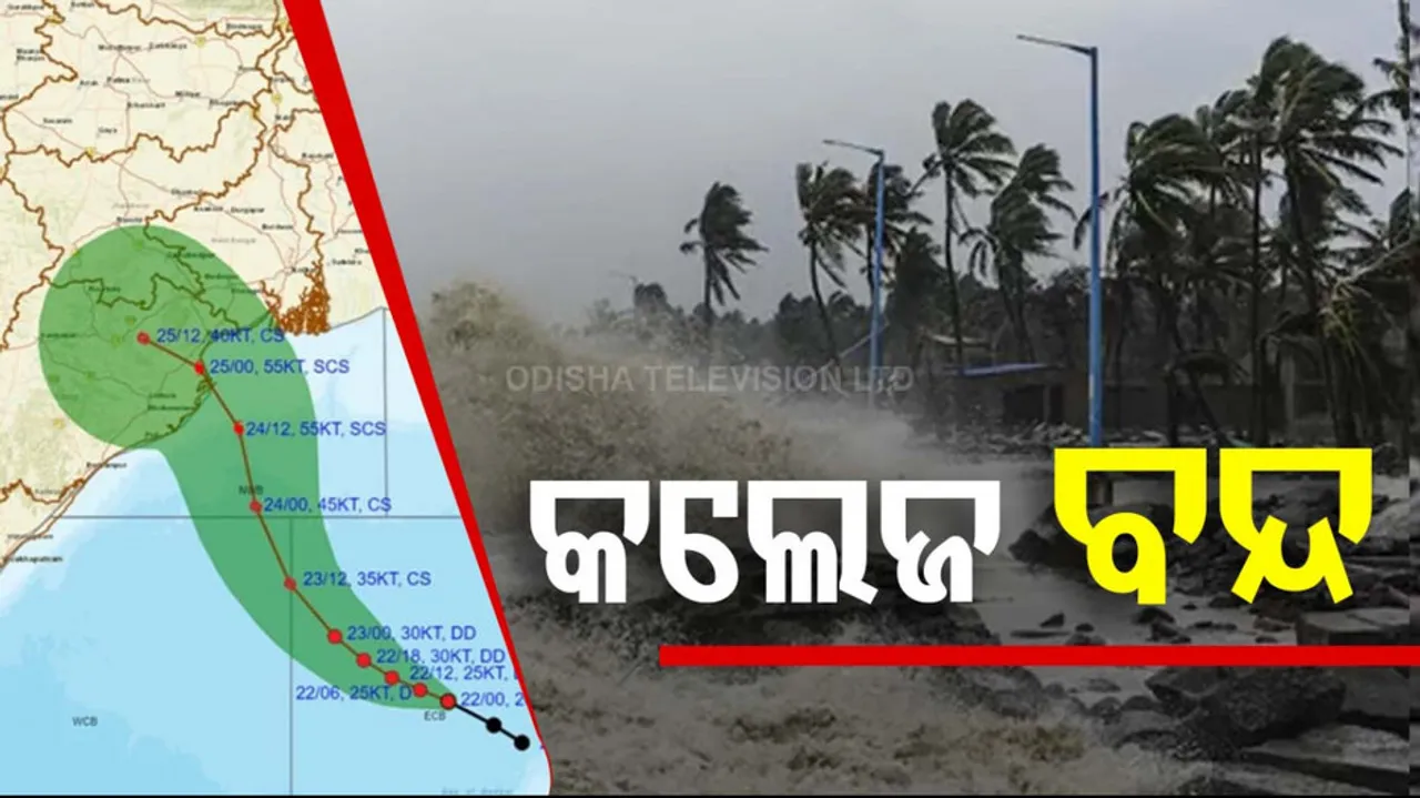 colleges and universities 