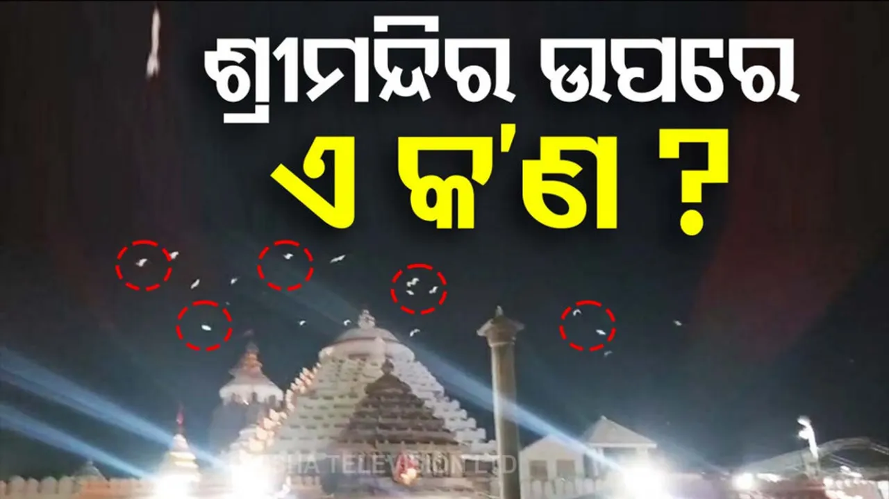 Migratory Birds Flying Over Puri Srimandir