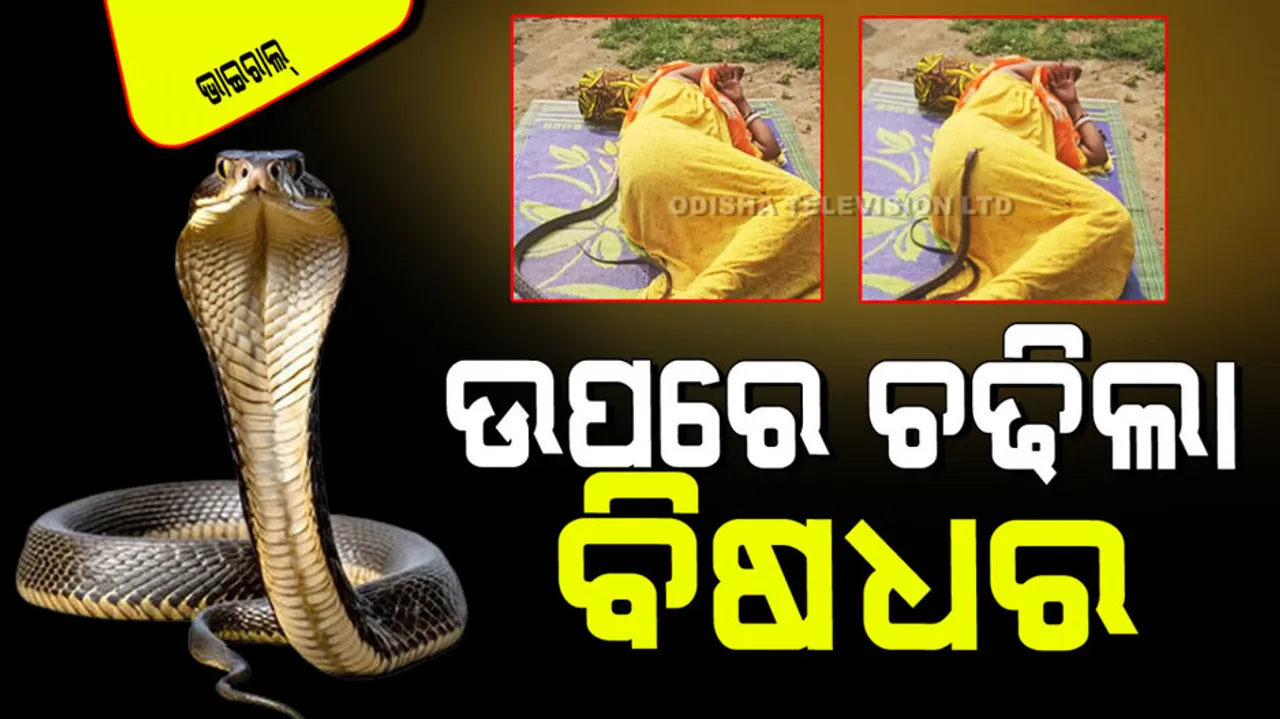 Woman sleeping outside the house then snake arrived and climbing on her body