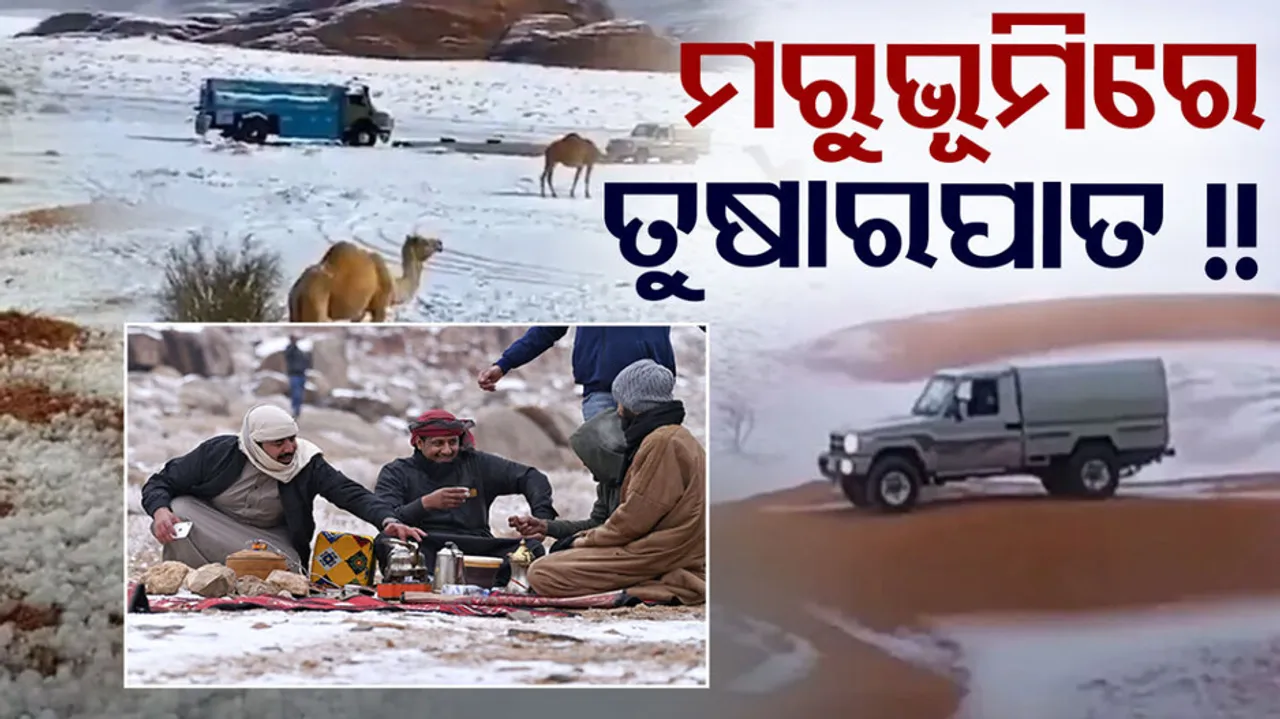 Saudi Arabian desert