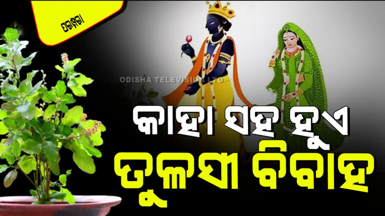 Story of Tulsi Vivah 2024 