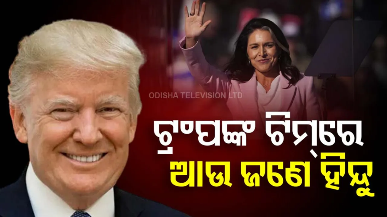 Hindu American Tulsi Gabbard appointed by Trump as US Director of National Intelligence
