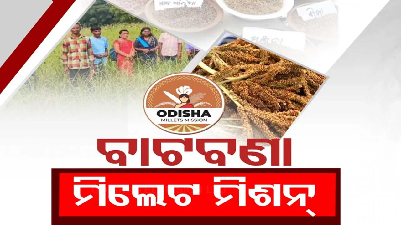 Millet Mission Faces Allegations of Corruption