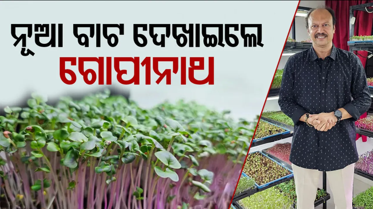 Banker quits job to grow microgreens