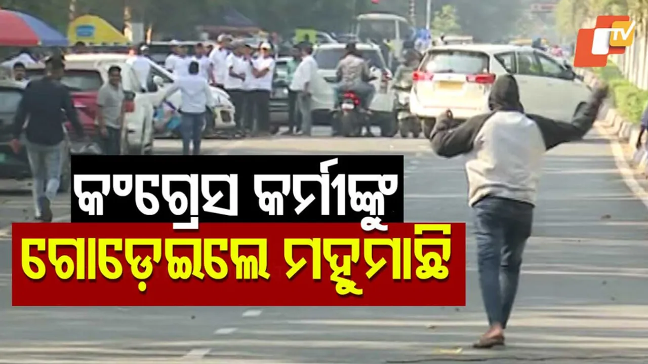 Bees Attack Congress Workers During Protest in Bhubaneswar