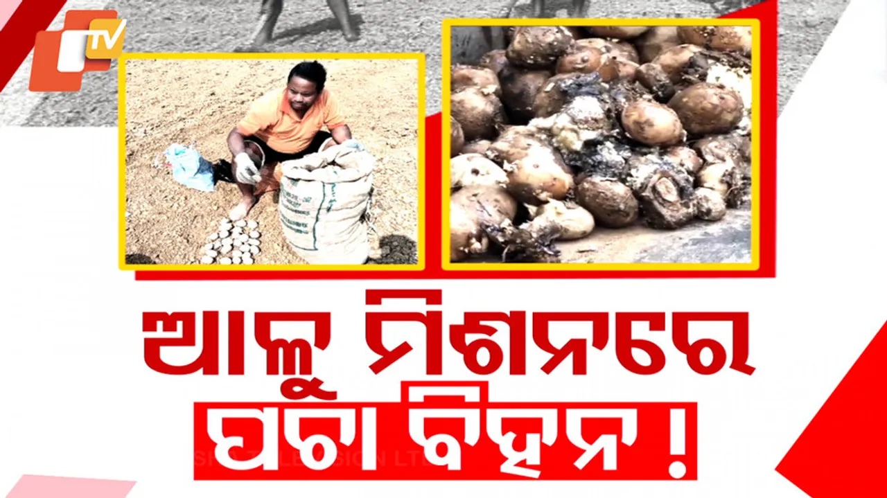 Potato Mission Faces Hurdles