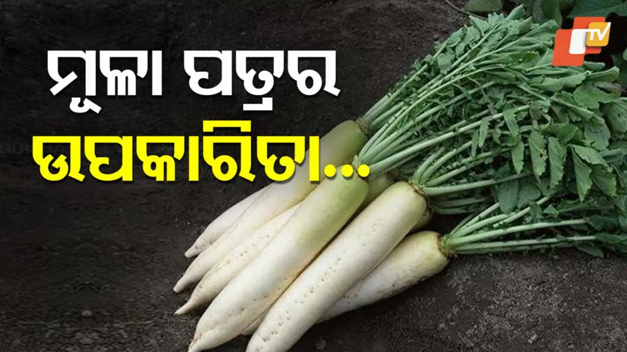  Radish Leaves Health Benefits