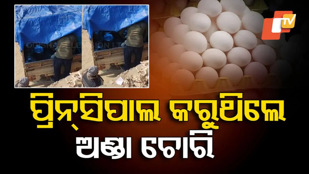 ପ୍ରିନ୍ସିପାଲ କରୁଥିଲେ ଅଣ୍ଡା ଚୋରି 