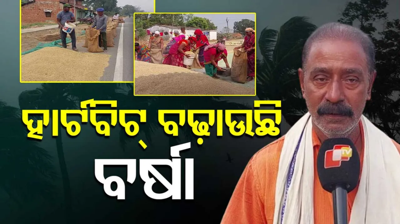 ଚାଷୀଙ୍କ ଚିନ୍ତା ବଢ଼ାଉଛି ଅଦିନିଆ ବର୍ଷା