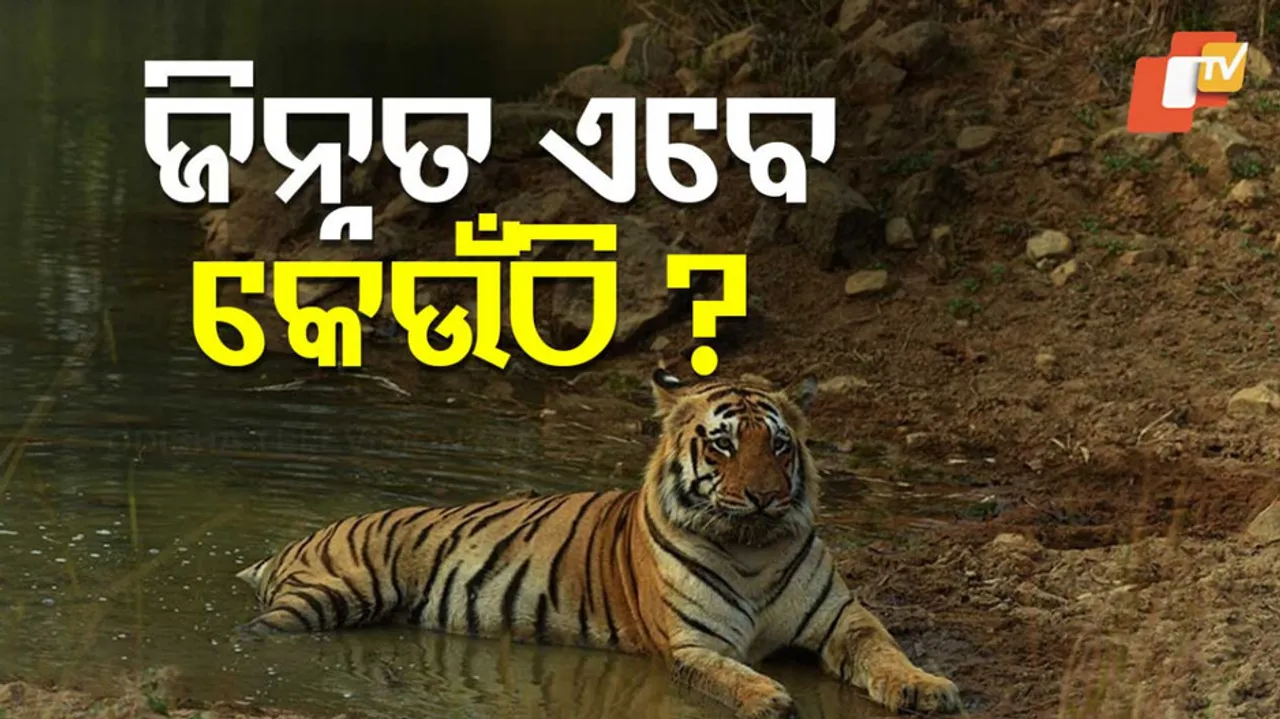 ଜିନ୍ନତ ଏବେ କେଉଁଠି ?