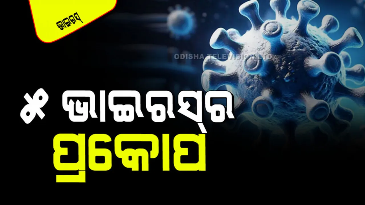 In 2024 top 5 dangerous diseases that have emerged in india