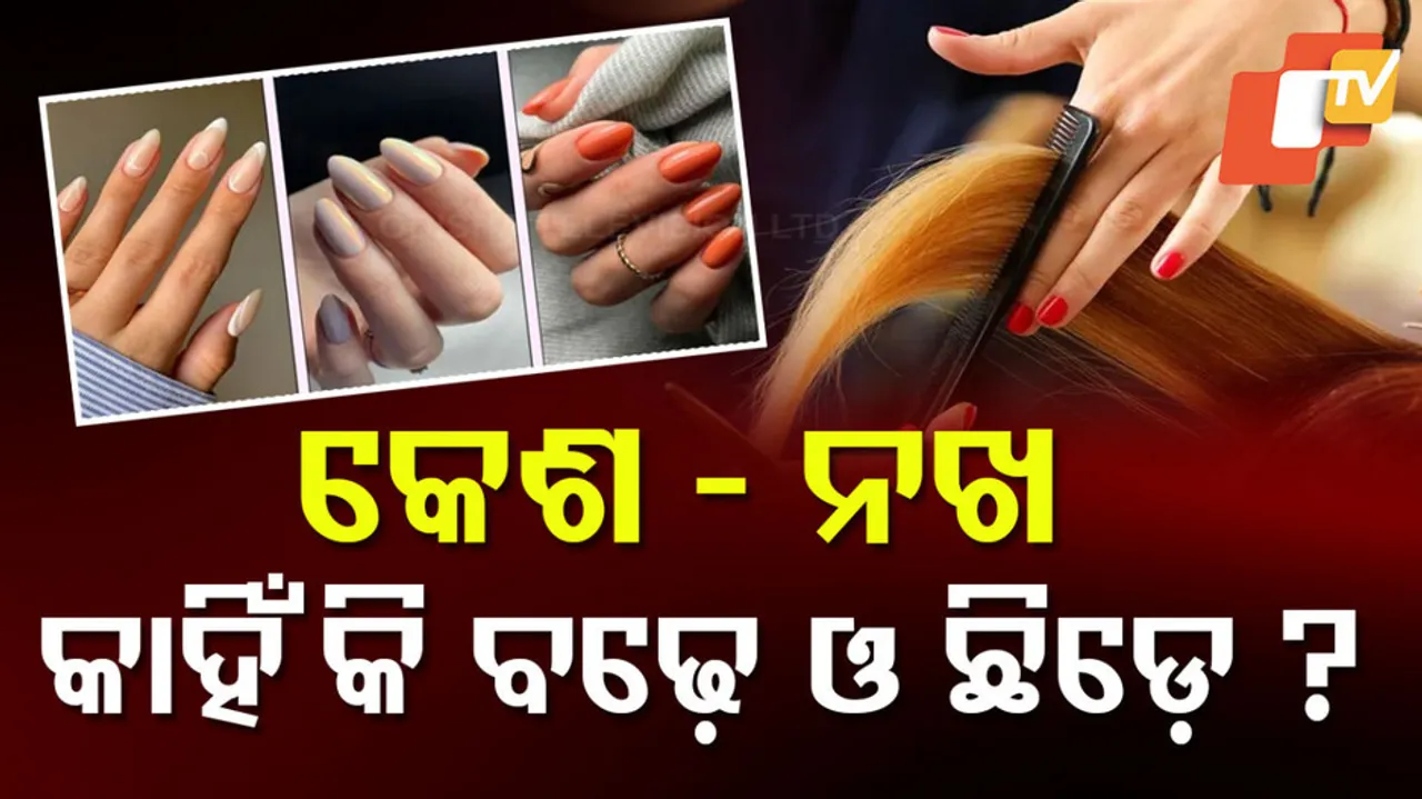 କେଶ ଓ ନଖ ବଢ଼ିବା ଓ ଛିଡ଼ିବା ପଛର ବିଜ୍ଞାନ