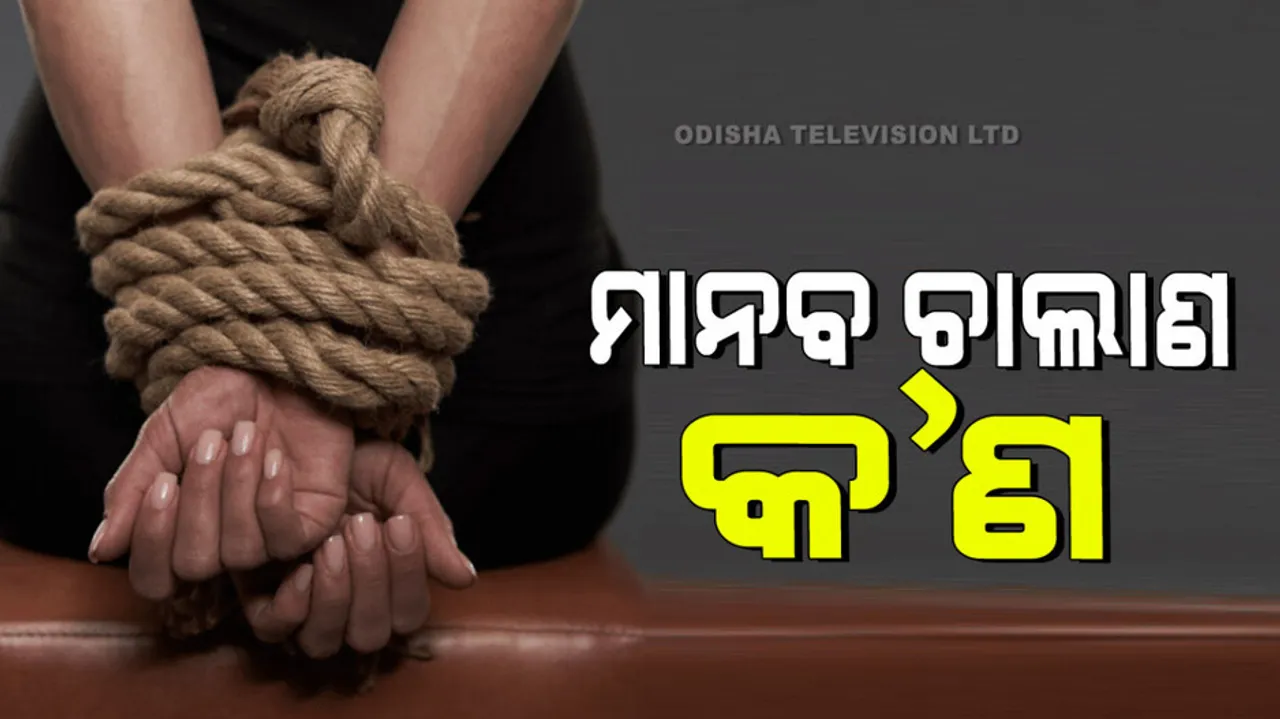 How to stop Human Trafficking