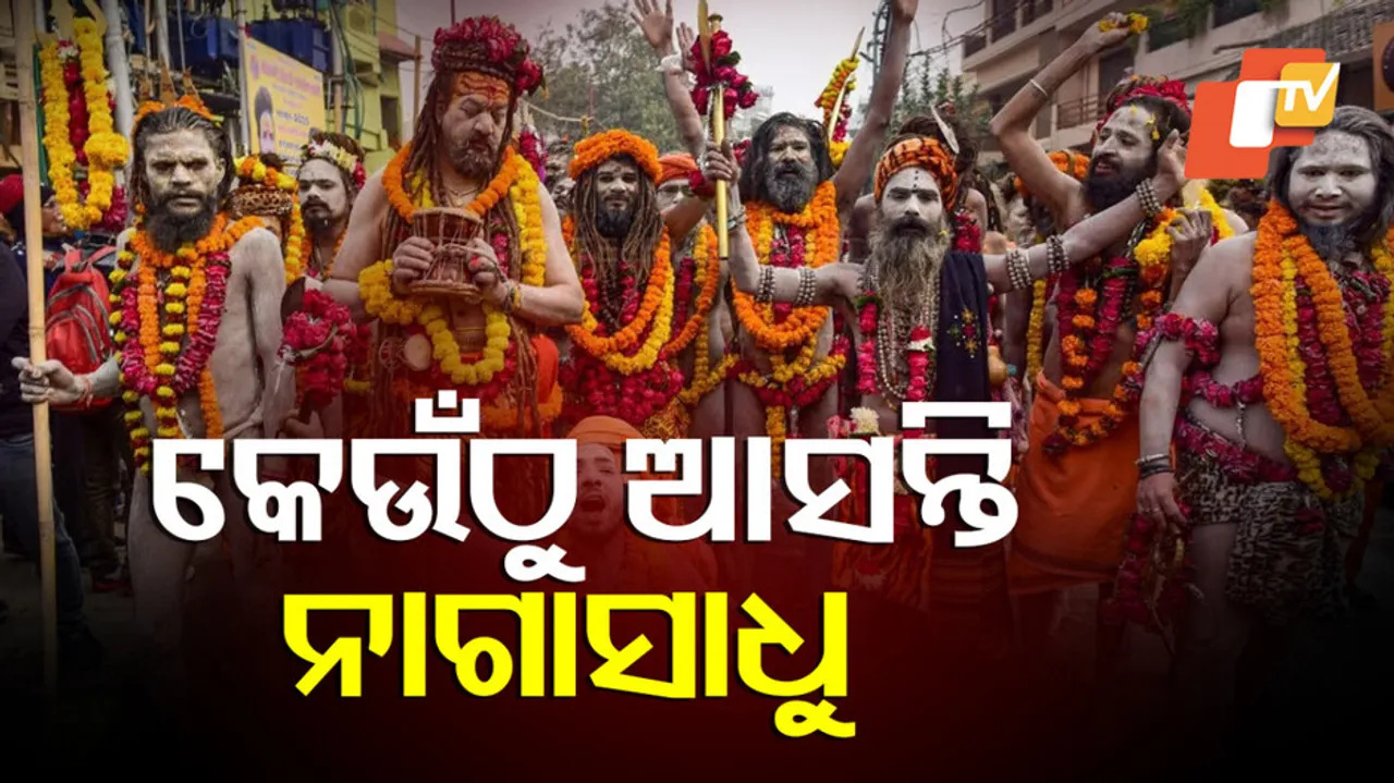 ନାଗାସାଧୁଙ୍କ ଇତିହାସ