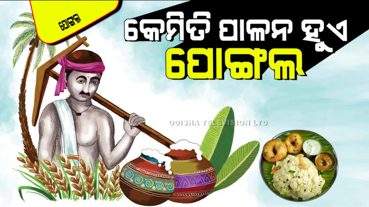 Pongal 2025; know this four days tradition