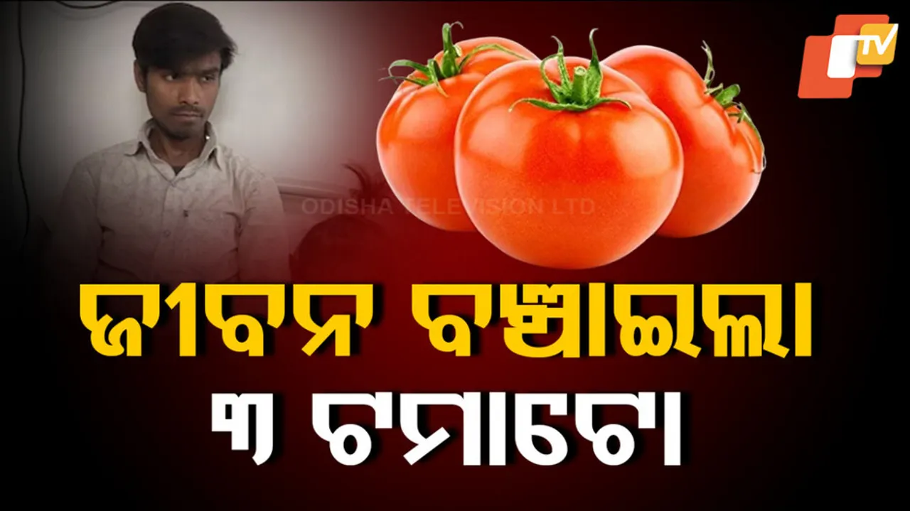 Delhi Burari Building Collapse