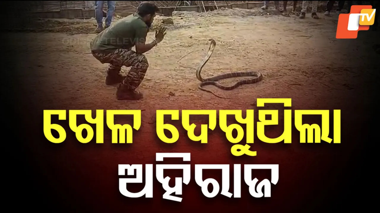 ପିଲାଙ୍କ ପାଖରେ ଖେଳୁଥିଲା ଅହିରାଜ