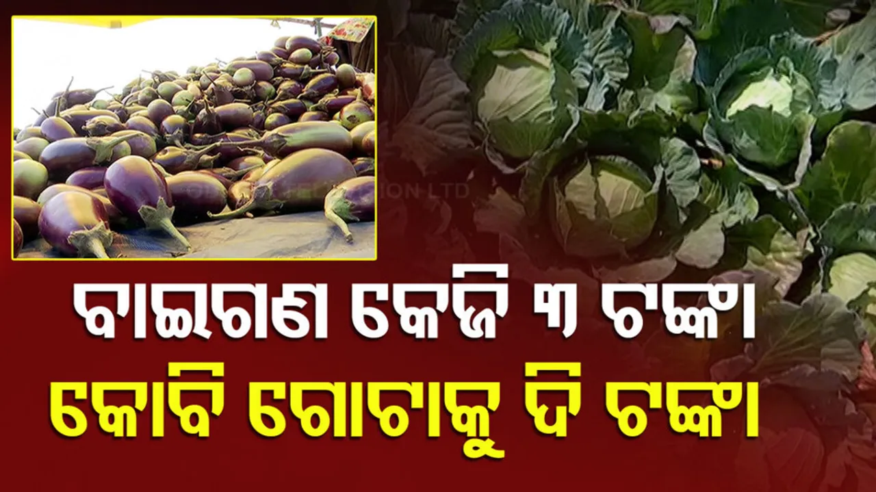 ଶୀତଳ ଭଣ୍ଡାର ନାହିଁ, ଜମିରେ ଗଡୁଛି ଫସଲ