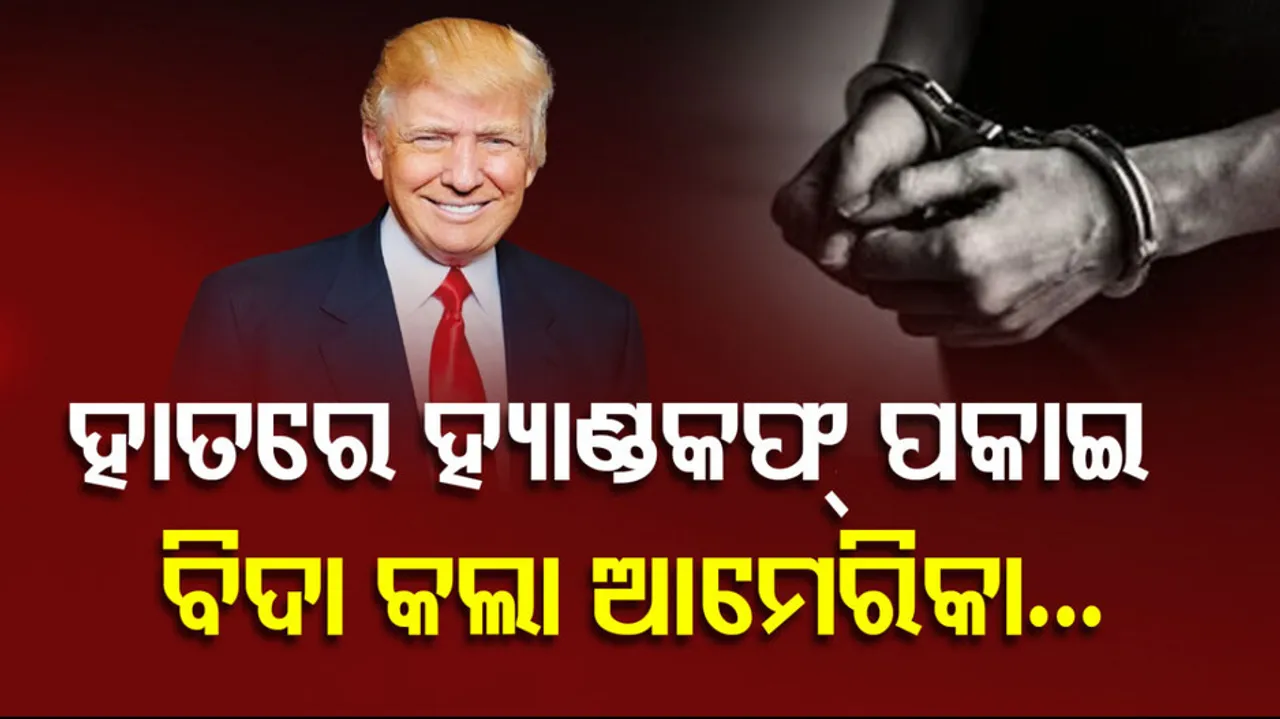 Illegal Indian Migrants