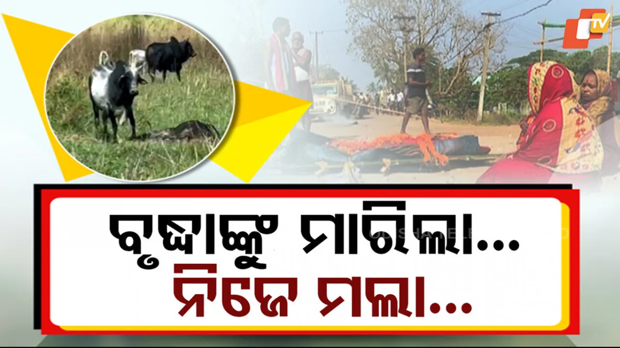 Bull Attack In Bhubaneswar