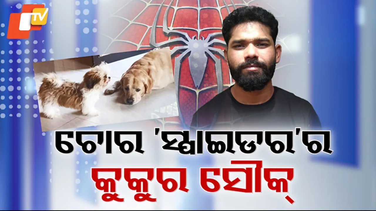 Spider Satish